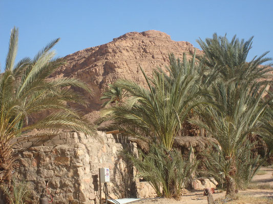 Les oasis et canyons