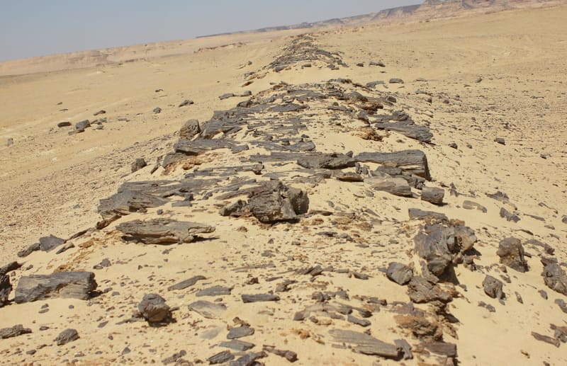 route basalte Route de basalte oasis du fayoum egypte