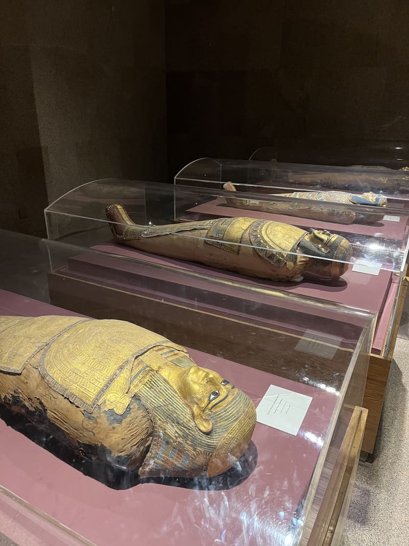 Momie Musée Nubie Assouan